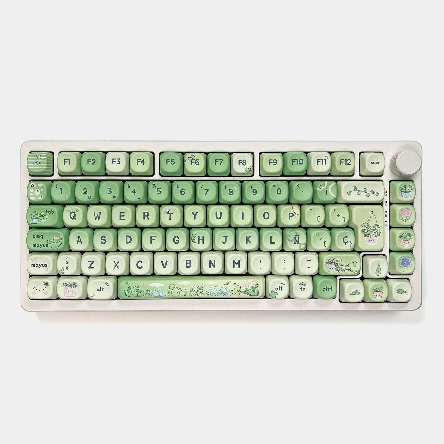 Teclas Clorofila + Nyby83 Blanco